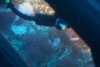 
DSC00058